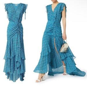 $795 Veronica Beard Floral Samara 100% Silk Maxi Dress